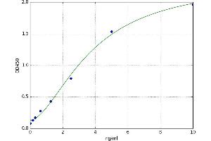 A typical standard curve (SERPINA3N ELISA Kit)