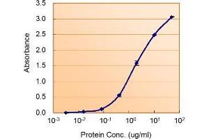 ABIN571181 (1. (ALDH2 antibody  (Internal Region))