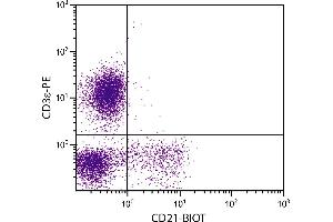Porcine peripheral blood lymphocytes were stained with Mouse Anti-Porcine CD21-BIOT. (CD21 antibody  (Biotin))