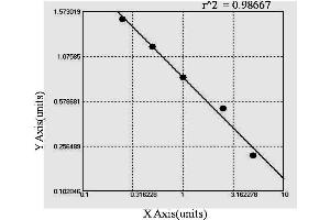 ELISA image for Anti Liver Cytosol Antibody Type 1 (LC1) ELISA Kit (ABIN993534) (Anti Liver Cytosol Antibody Type 1 (LC1) ELISA Kit)