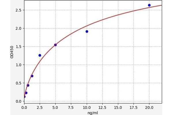 AQP2 ELISA Kit