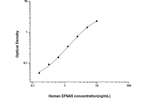 Ephrin A5 ELISA Kit