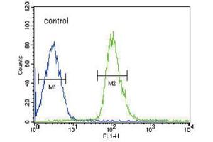 Flow Cytometry (FACS) image for anti-Dual Specificity Phosphatase 2 (DUSP2) antibody (ABIN3004027) (DUSP2 antibody)