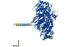AlphaFold protein structure predicition of Human Recombinant NDST4 Protein, UniprotID Q9H3R1