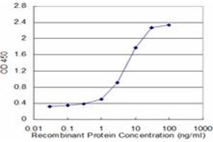 Detection limit for recombinant GST tagged UNC13D is approximately 1ng/ml as a capture antibody. (UNC13D antibody  (AA 2-100))