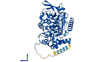 AlphaFold protein structure predicition of Human Recombinant FMO5 Protein, UniprotID P49326 (FMO5 Protein (AA 1-533) (His tag))