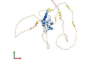 AlphaFold protein structure predicition of Human Recombinant SMAP2 Protein, UniprotID Q8WU79 (SMAP2 Protein (AA 1-429) (His tag))