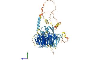 Protein Structure (PS) image for TAF5-Like RNA Polymerase II, P300/CBP-Associated Factor (PCAF)-Associated Factor, 65kDa (TAF5L) (AA 1-589) protein (His tag) (ABIN7560051)