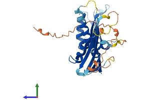 Protein Structure (PS) image for RAD52 Motif 1 (RDM1) (AA 1-284) protein (His tag) (ABIN7551260)