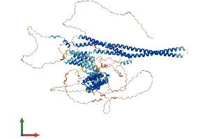 AlphaFold protein structure predicition of Human Recombinant ARHGAP45 Protein, UniprotID Q92619