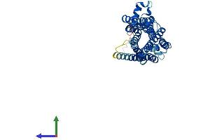 AlphaFold protein structure predicition of Mouse Recombinant Taar7b Protein, UniprotID Q5QD11 (TAAR7B Protein (AA 1-358) (His tag))
