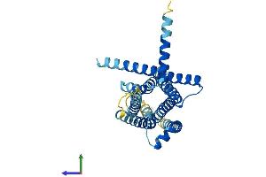 AlphaFold protein structure predicition of Mouse Recombinant Tas2r103 Protein, UniprotID Q9JKA3 (TAS2R103 Protein (AA 1-312) (His tag))