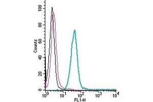 Cell surface detection of PAFR by direct flow cytometry in live intact mouse  microglia cells: + Rabbit IgG isotype control-FITC.