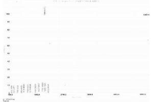 Image no. 1 for Epidermal Growth Factor (EGF) peptide (Ovalbumin) (ABIN5666164) (Epidermal Growth Factor (EGF) peptide (Ovalbumin))