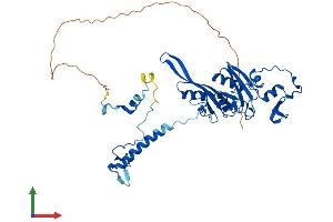 AlphaFold protein structure predicition of Human Recombinant MRPS5 Protein, UniprotID P82675 (MRPS5 Protein (AA 1-430) (His tag))
