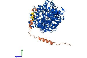 Protein Structure (PS) image for Pyruvate Kinase, Liver and RBC (PKLR) (AA 1-574) protein (His tag) (ABIN7563435)