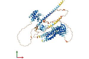 AlphaFold protein structure predicition of Mouse Recombinant Arhgef6 Protein, UniprotID Q8K4I3 (ARHGEF6 Protein (AA 1-771) (His tag))