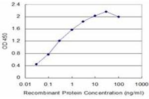 Detection limit for recombinant GST tagged NBR1 is approximately 0. (NBR1 antibody  (AA 2-96))