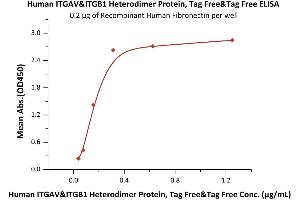 Immobilized Recombinant Human Fibronectin at 2 μg/mL (100 μL/well) can bind Human ITGAV&ITGB1 Heterodimer Protein, Tag Free&Tag Free (ABIN6950967,ABIN6952270) with a linear range of 0.