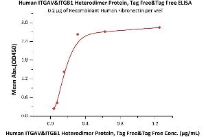 Immobilized Recombinant Human Fibronectin at 2 μg/mL (100 μL/well) can bind Human ITGAV&ITGB1 Heterodimer Protein, Tag Free&Tag Free (ABIN6950967,ABIN6952270) with a linear range of 0. (ITGAV/ITGB1 Protein (AA 31-992))