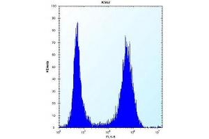 Flow cytometric analysis of K562 cells using ND3 Antibody (N-term) Cat. (MT-ND3 antibody  (N-Term))