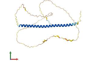AlphaFold protein structure predicition of Mouse Recombinant Batf2 Protein, UniprotID Q8R1H8 (BATF2 Protein (AA 1-277) (His tag))