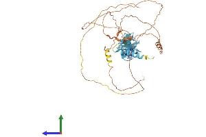 AlphaFold protein structure predicition of Human Recombinant AJUBA Protein, UniprotID Q96IF1