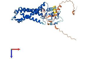 AlphaFold protein structure predicition of Human Recombinant ZDHHC11B Protein, UniprotID P0C7U3 (ZDHHC11B Protein (AA 1-371) (His tag))
