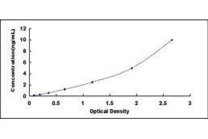Ephrin B2 (EFNB2) ELISA Kit