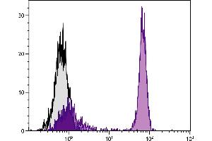 Chicken peripheral blood lymphocytes were stained with Mouse Anti-Chicken CD4-BIOT. (CD4 antibody  (Biotin))