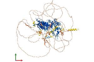 AlphaFold protein structure predicition of Human Recombinant DENND2B Protein, UniprotID P78524