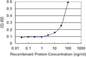 Detection limit for recombinant GST tagged MAD2L1BP is 1 ng/ml as a capture antibody. (MAD2L1BP antibody  (AA 1-274))