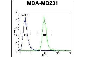 ZSWIM6 Antibody (C-term) (ABIN654590 and ABIN2844290) flow cytometric analysis of MDA-M cells (right histogram) compared to a negative control cell (left histogram). (ZSWIM6 antibody  (C-Term))