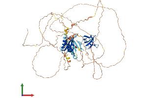 AlphaFold protein structure predicition of Mouse Recombinant Mapk8ip1 Protein, UniprotID Q9WVI9