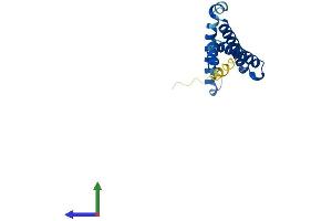 AlphaFold protein structure predicition of Human Recombinant C1D Protein, UniprotID Q13901 (C1D Protein (AA 1-141) (His tag))