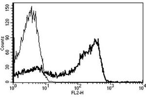 Flow Cytometry (FACS) image for anti-CD2 (CD2) antibody (Biotin) (ABIN1106020) (CD2 antibody  (Biotin))