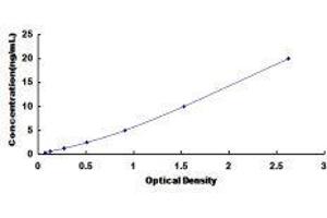 ELISA image for BCL2-Associated X Protein (BAX) ELISA Kit (ABIN1118086)