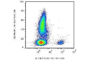 Surface staining of human peripheral blood leukocytes with anti-human CD19 (4G7) biotin. (CD19 antibody  (Biotin))
