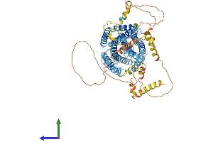AlphaFold protein structure predicition of Human Recombinant SLC12A8 Protein, UniprotID A0AV02
