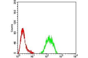 Flow cytometric analysis of Hela cells using KMT2C mouse mAb (green) and negative control (red). (MLL3 antibody  (AA 1-205))