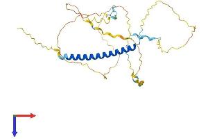 AlphaFold protein structure predicition of Human Recombinant PRR16 Protein, UniprotID Q569H4 (PRR16 Protein (AA 1-304) (His tag))