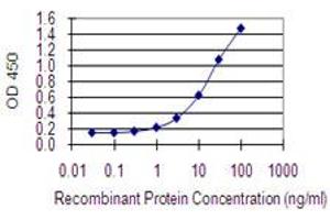 Detection limit for recombinant GST tagged COX4NB is 0. (COX4NB antibody  (AA 113-210))
