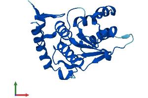 Protein Structure (PS) image for SUMO/sentrin Specific Peptidase Family Member 8 (SENP8) (AA 1-212) protein (His tag) (ABIN7545995)