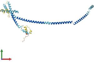 AlphaFold protein structure predicition of Human Recombinant HAUS4 Protein, UniprotID Q9H6D7