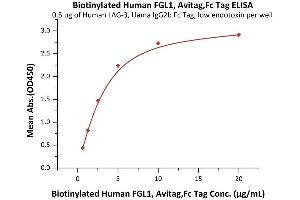 Immobilized Human LAG-3, Llama IgG2b Fc Tag, low endotoxin (ABIN5954961,ABIN6253552) at 5 μg/mL (100 μL/well) can bind Biotinylated Human FGL1, Avitag,Fc Tag (ABIN6923181,ABIN6938831) with a linear range of 0. (FGL1 Protein (AA 23-312) (AVI tag,Fc Tag,Biotin))
