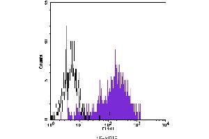 Flow Cytometry (FACS) image for anti-Interleukin 2 Receptor, alpha (IL2RA) antibody (FITC) (ABIN2144548) (CD25 antibody  (FITC))