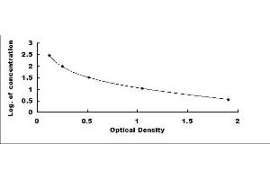 Typical standard curve (PIICP ELISA Kit)