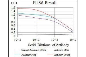 Black line: Control Antigen (100 ng), Purple line: Antigen(10 ng), Blue line: Antigen (50 ng), Red line: Antigen (100 ng), (CEBPA antibody)