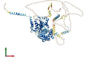 Protein Structure (PS) image for DEAD (Asp-Glu-Ala-Asp) Box Polypeptide 10 (DDX10) (AA 1-875) protein (His tag) (ABIN7547049)