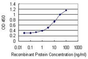 Detection limit for recombinant GST tagged PARK2 is 0. (Parkin antibody  (AA 288-387))